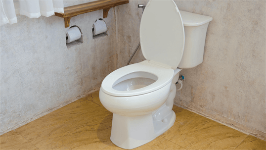 Benefits of Upgrading to a Water-Efficient Toilet: Installation Tips Included